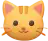 Kedi
