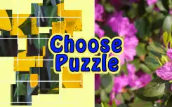 Choose Puzzle
