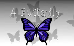 A Butterfly