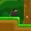 Ninja Warrior Adventure