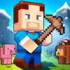Terra Craft World