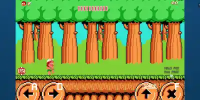 Higgins' Adventure Island - Screenshot 3