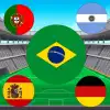 World Cup Flag Match