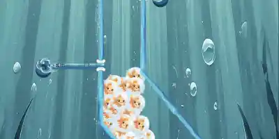 Fish Divider - Screenshot 2