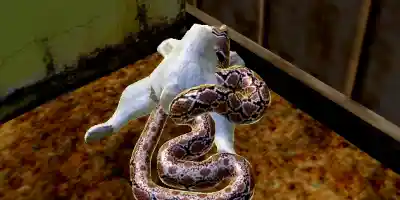 Real Snake Simulator 3D - Screenshot 3