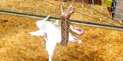 Real Snake Simulator 3D - Screenshot 5