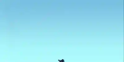 Crazy Counter Attack - Screenshot 1
