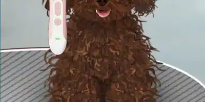 Life Spa Salon Asmr - Screenshot 3