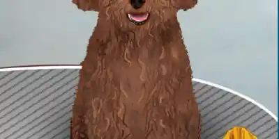 Life Spa Salon Asmr - Screenshot 4