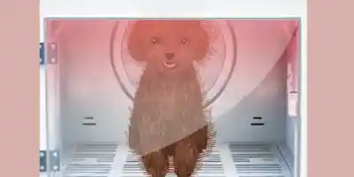 Life Spa Salon Asmr - Screenshot 5