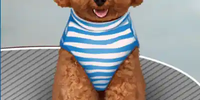 Life Spa Salon Asmr - Screenshot 6