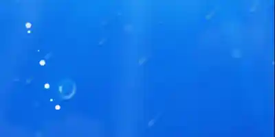 Fishy trick - Screenshot 3