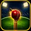 5TO20 Cricket