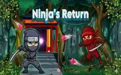 Ninjas Return 